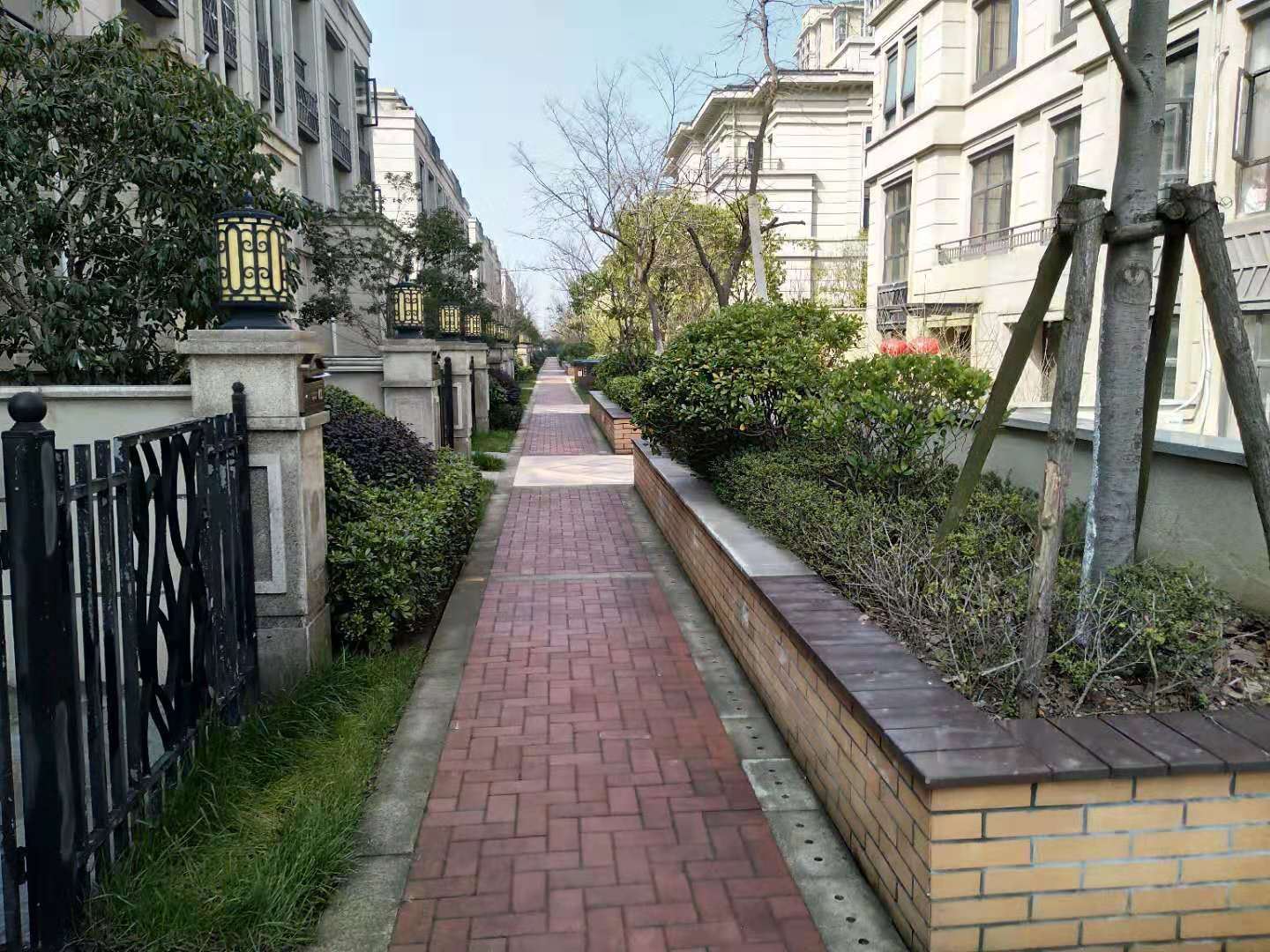 合肥梧桐树公寓