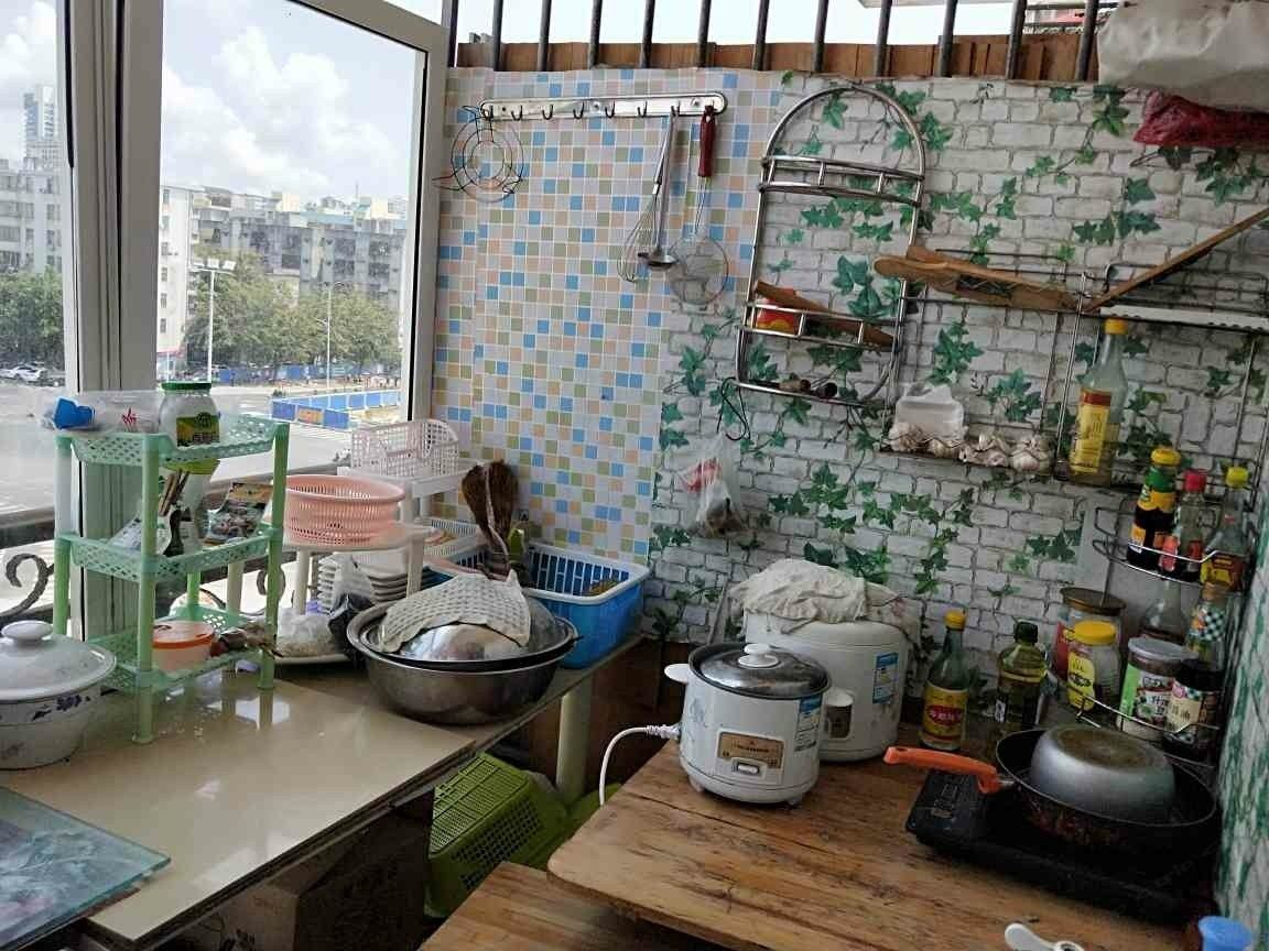 园景一室单床房
