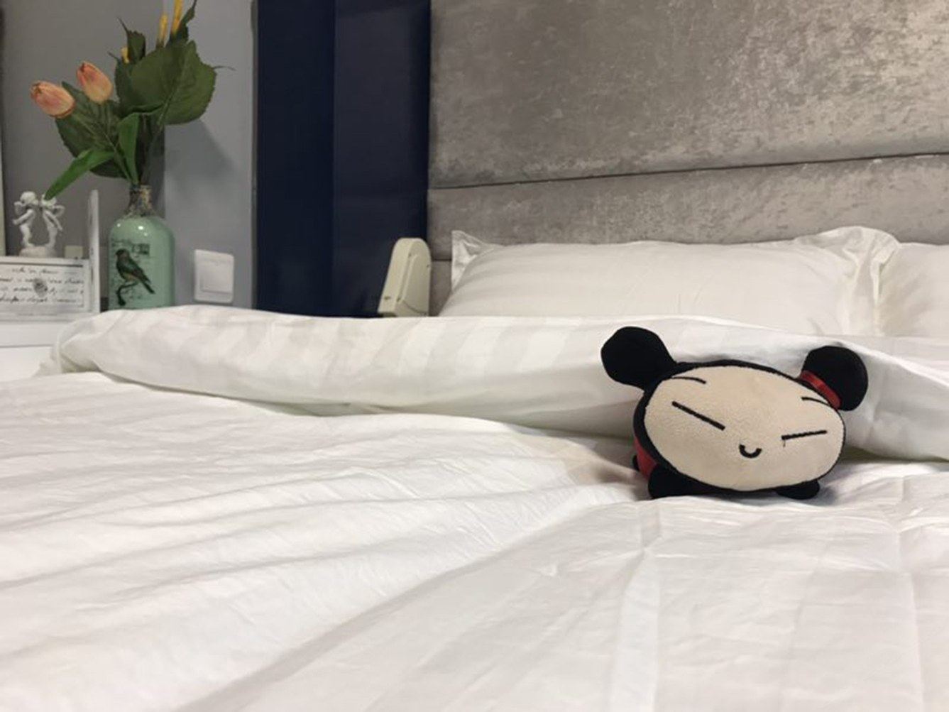 一室大床房