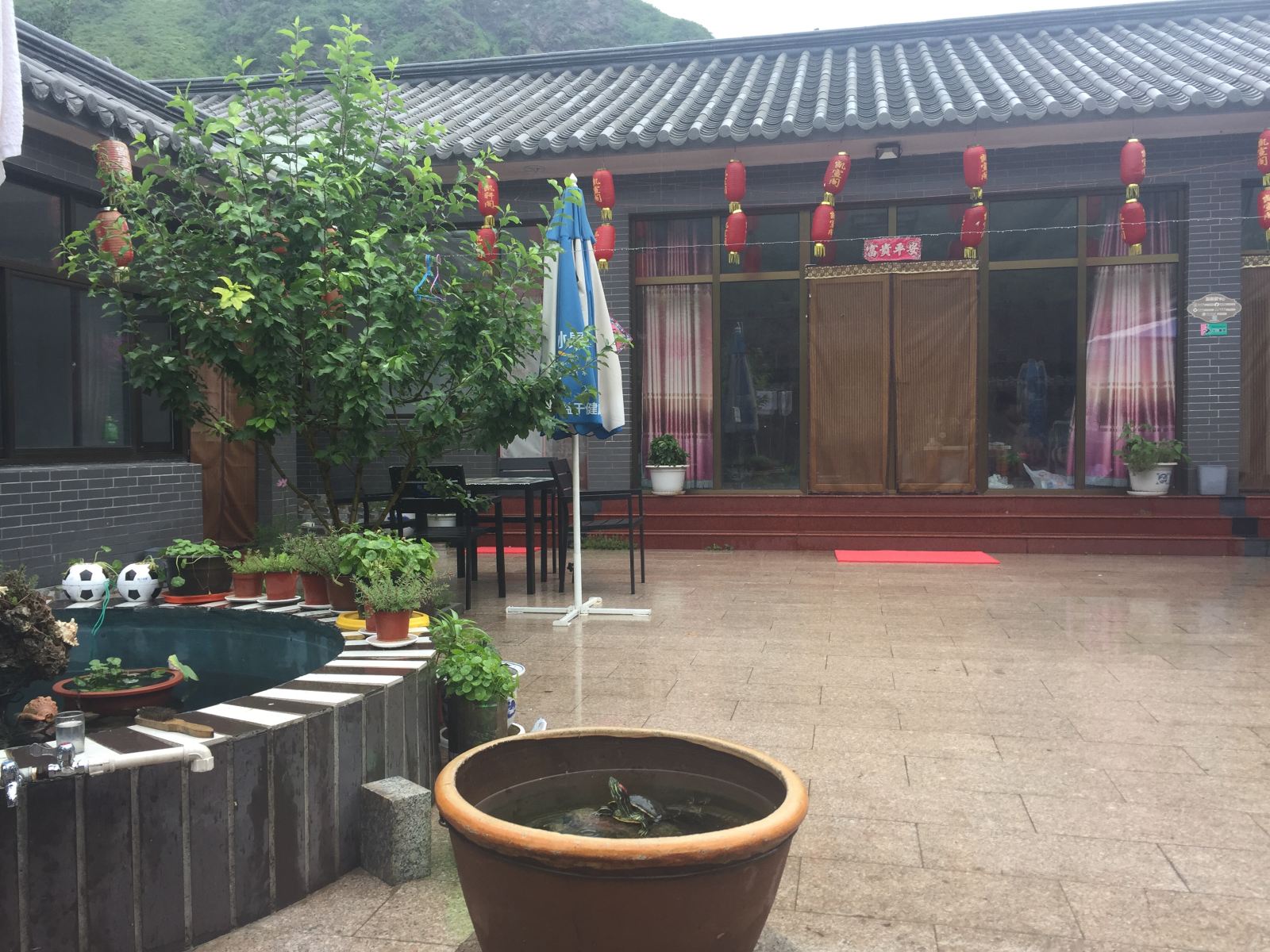 公共区域