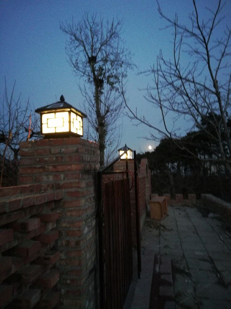 其他