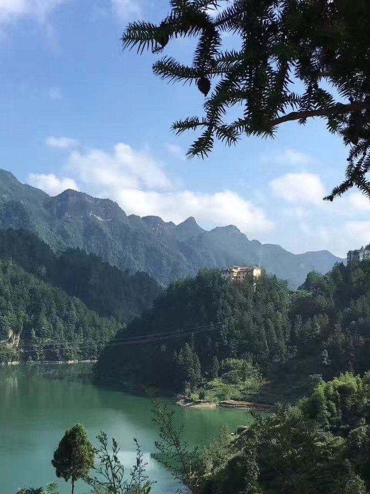 其他