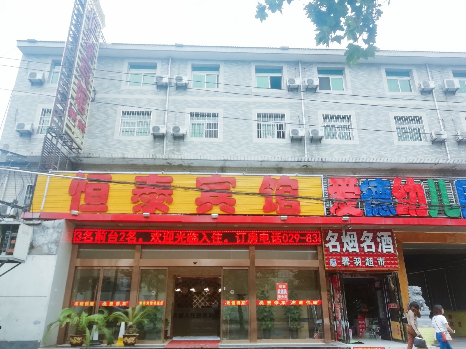 外观