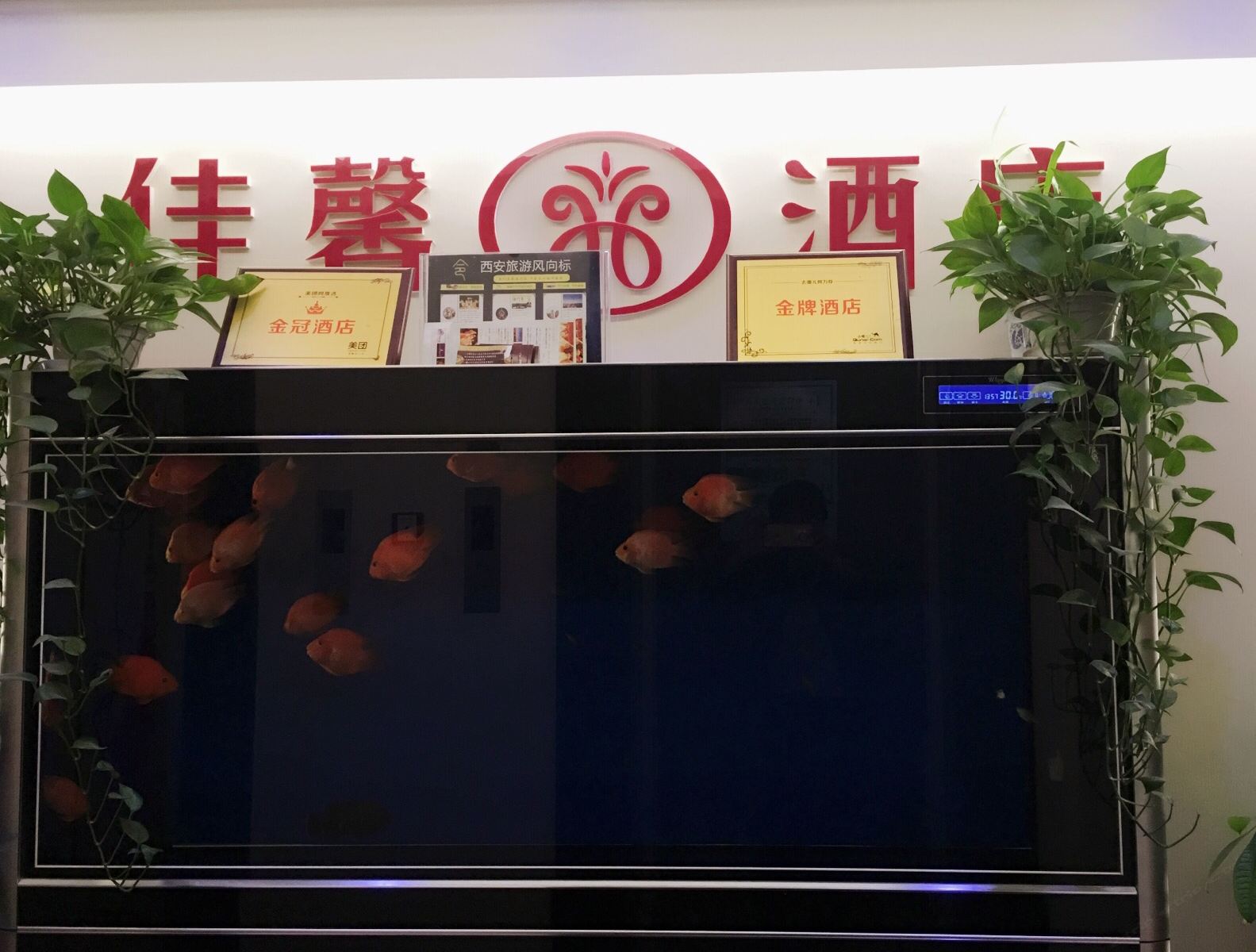 公共区域