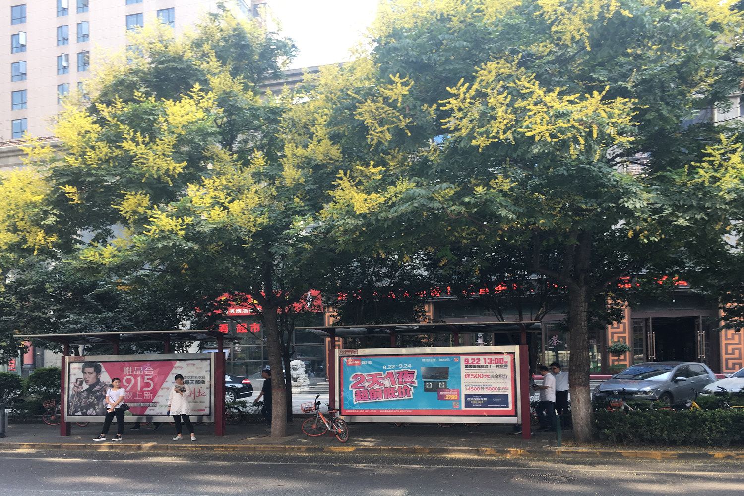 其他