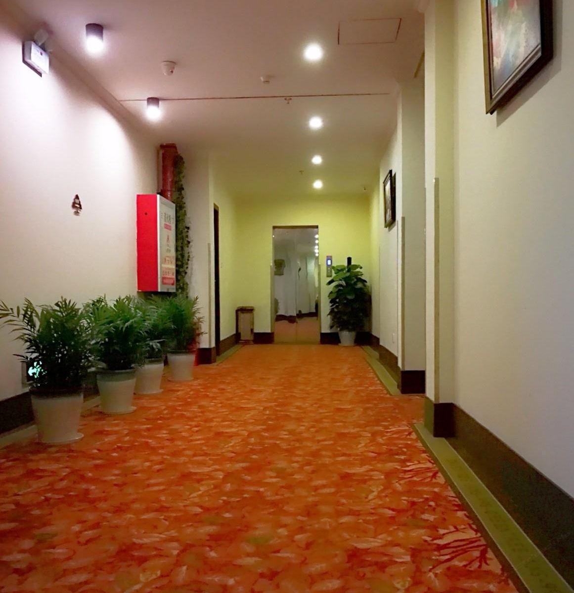公共区域