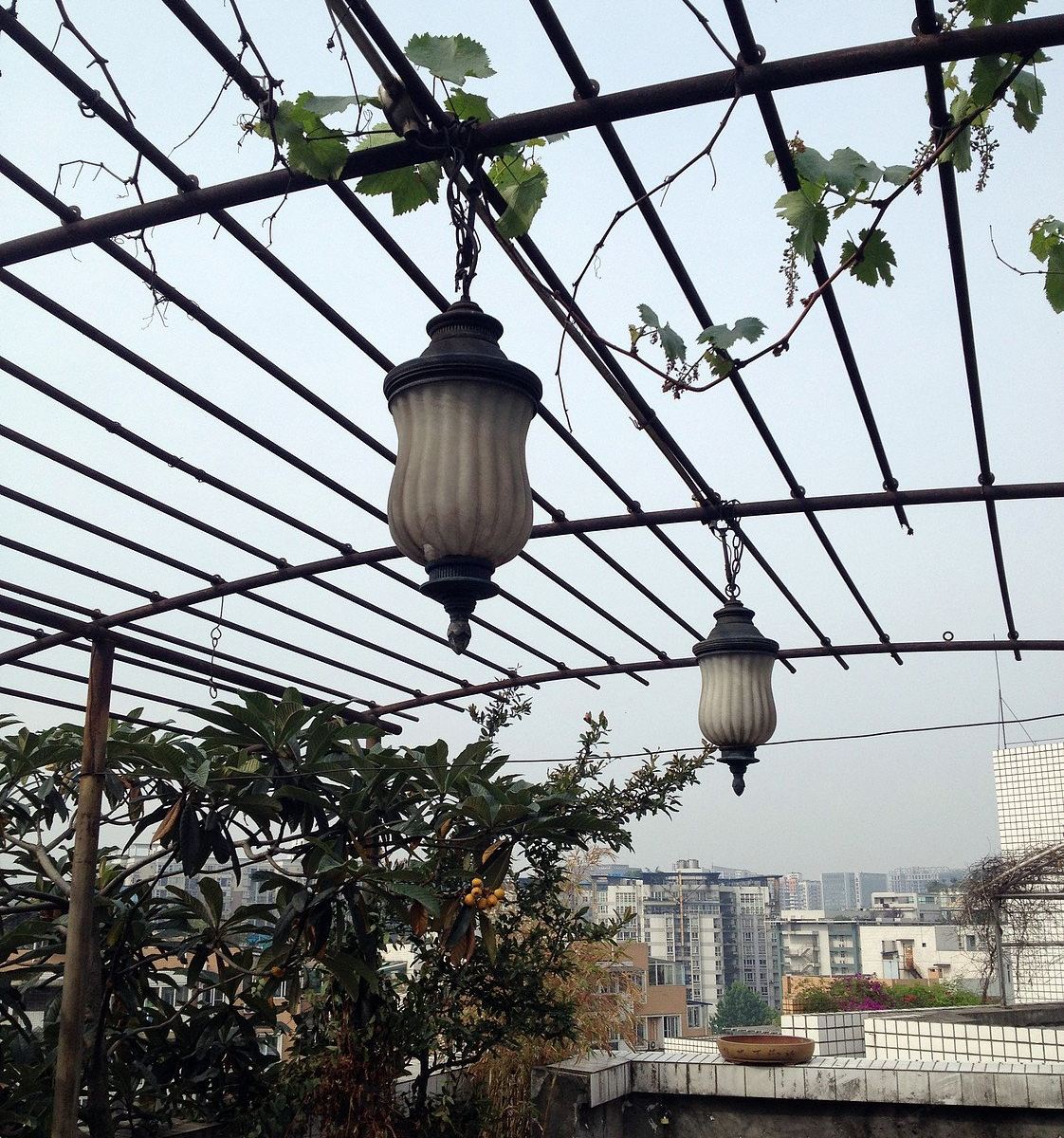 成都噪起来青年旅舍