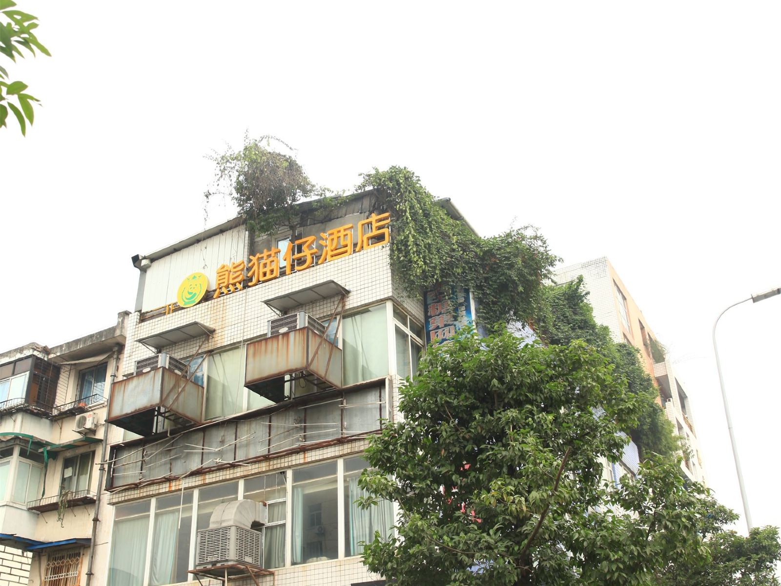 成都熊猫王子酒店熊猫仔交大店