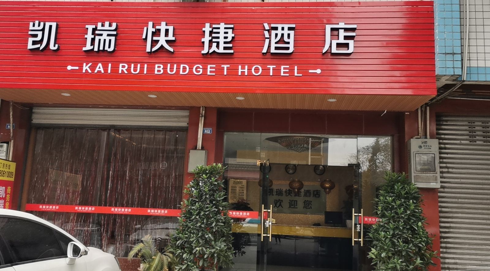 外观