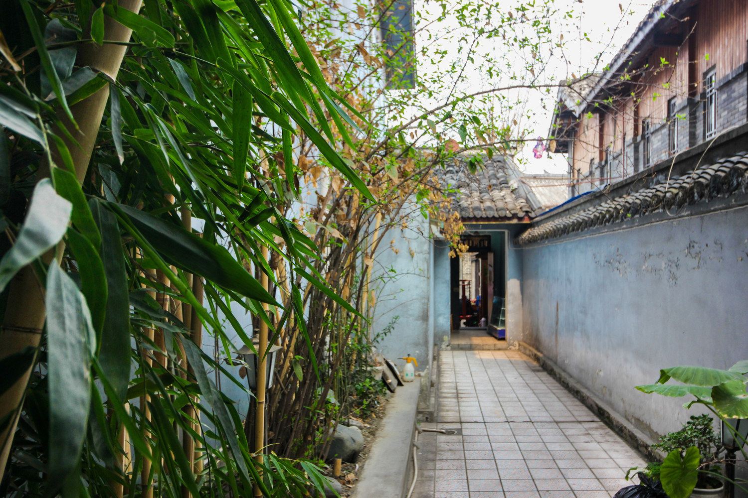 成都竹间闲逸雅集客栈