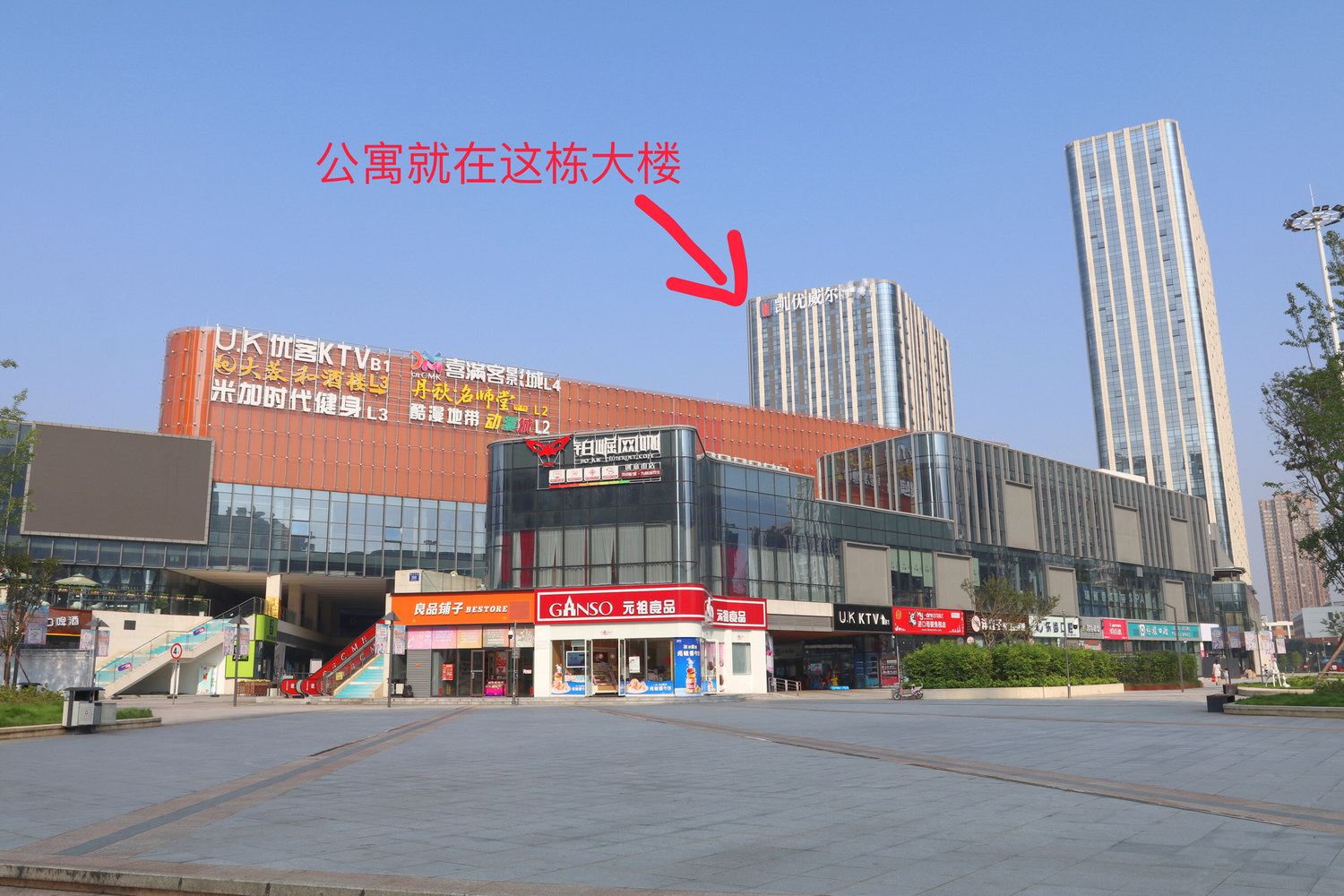 其他