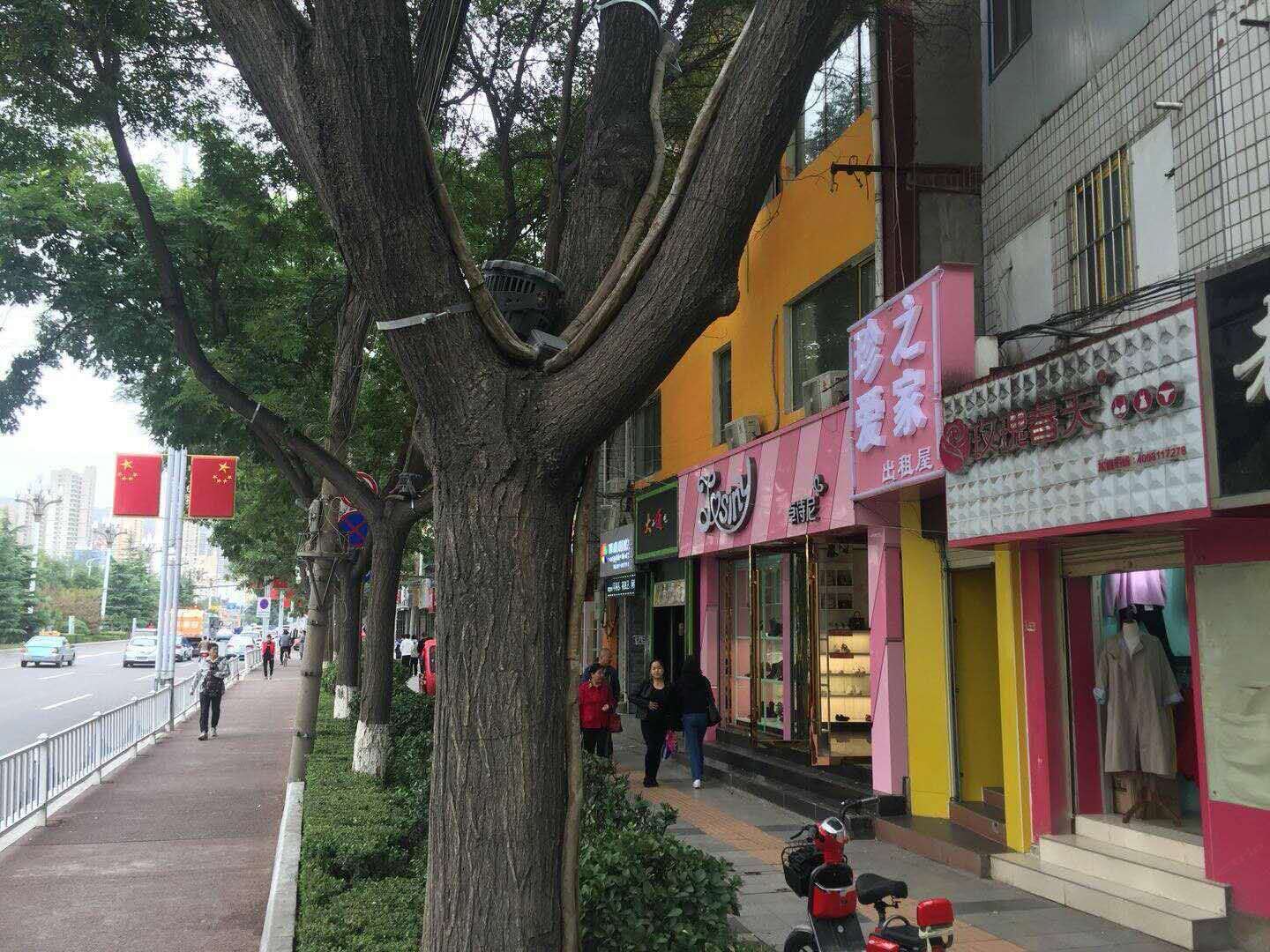 兰州珍爱之家出租屋