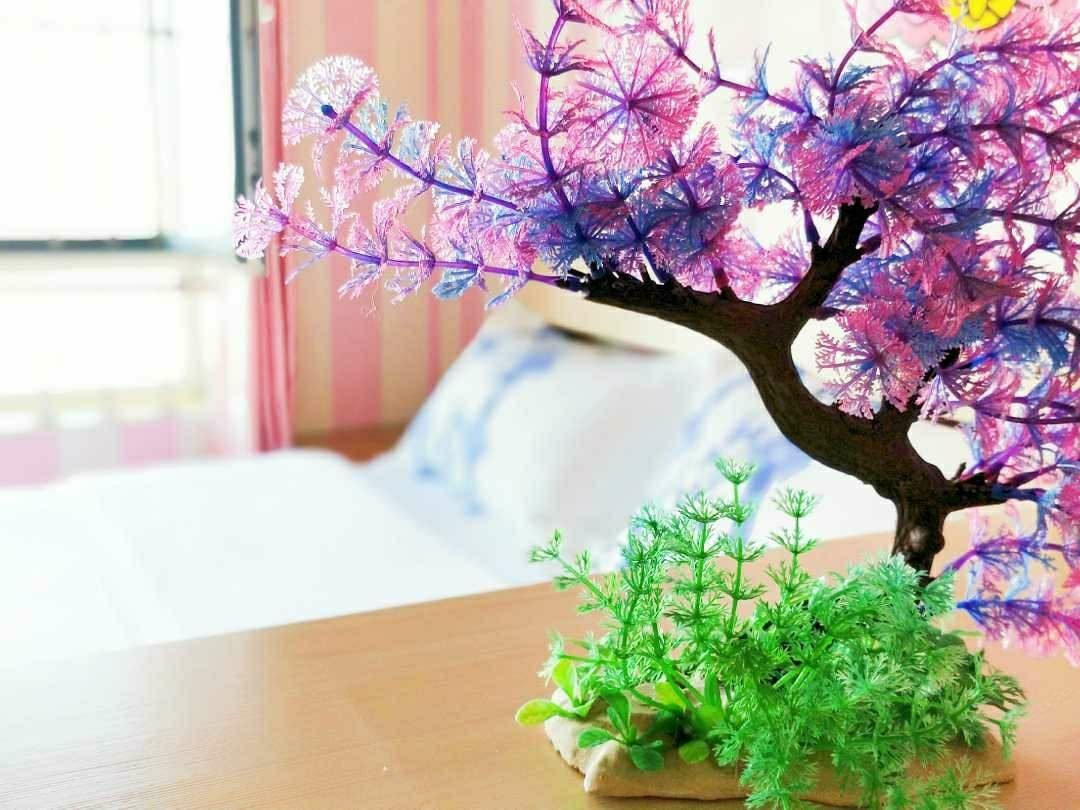 麻将双床四人间