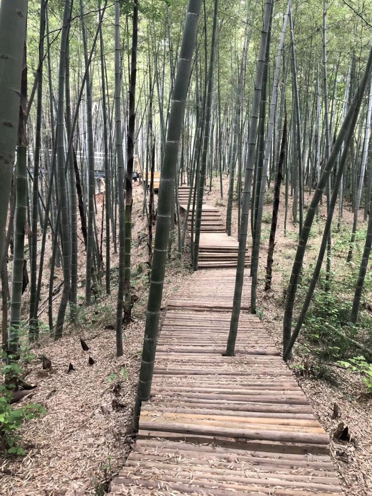 常州丽华小院