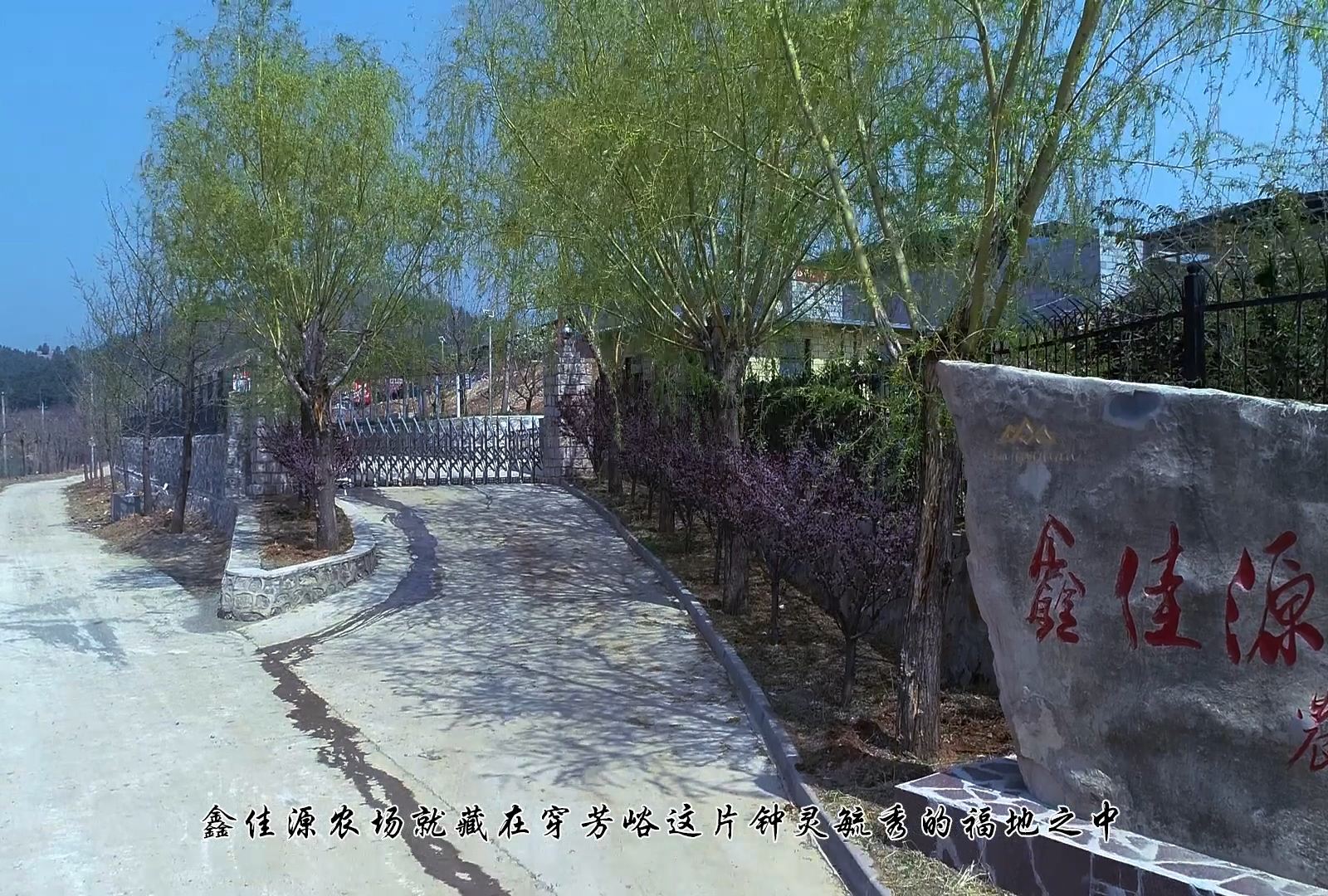 天津鑫佳源农场