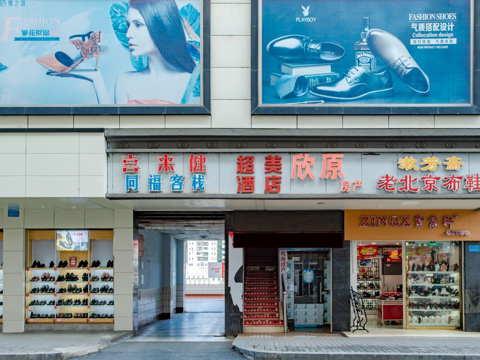 外观