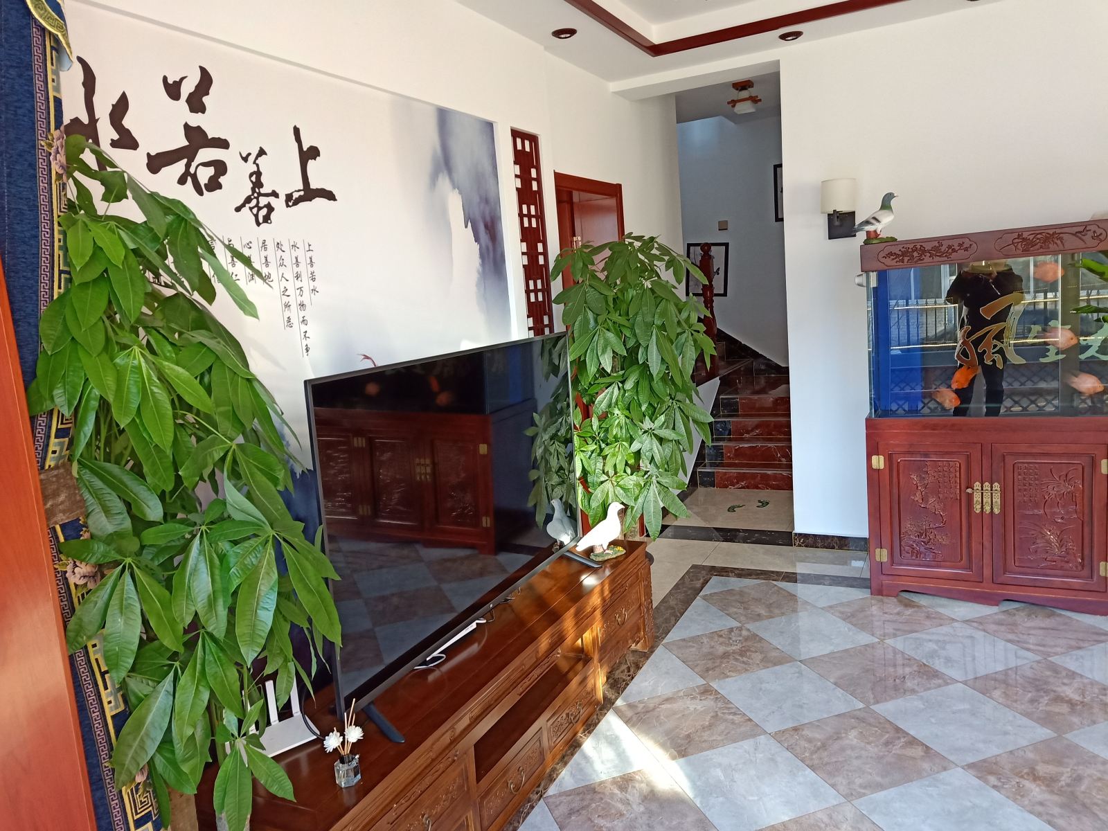 公共区域