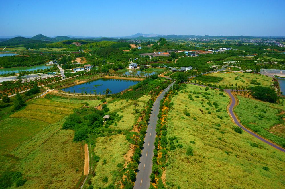 南京松青客栈