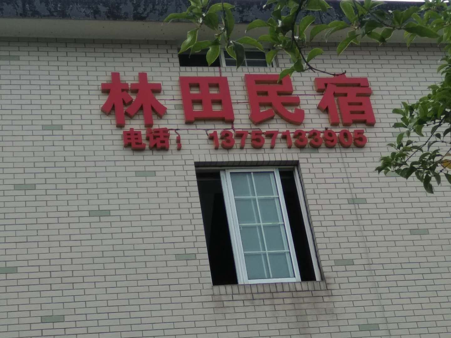 杭州林田民宿