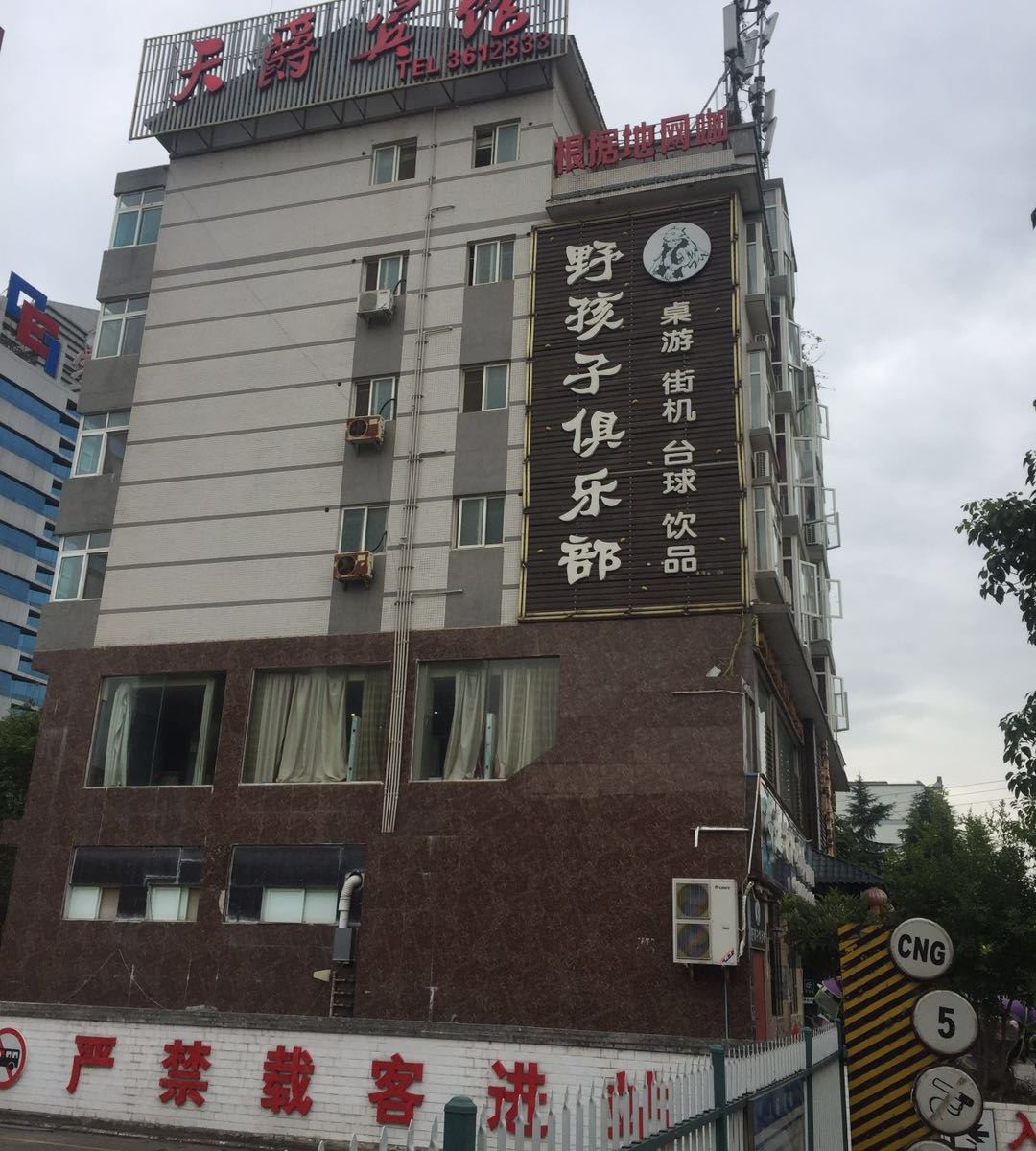 外观