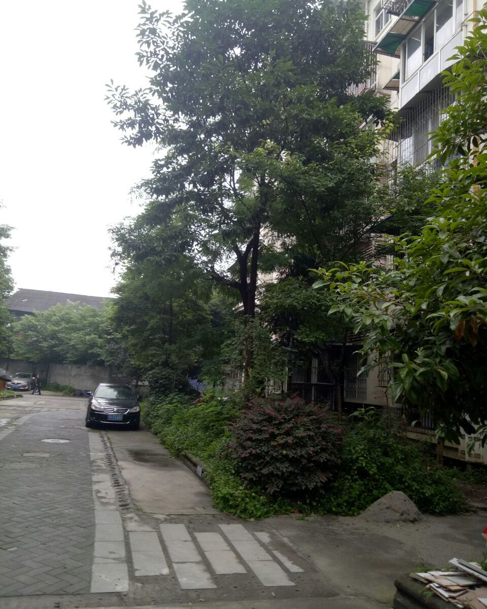 都江堰缘来我家民宿