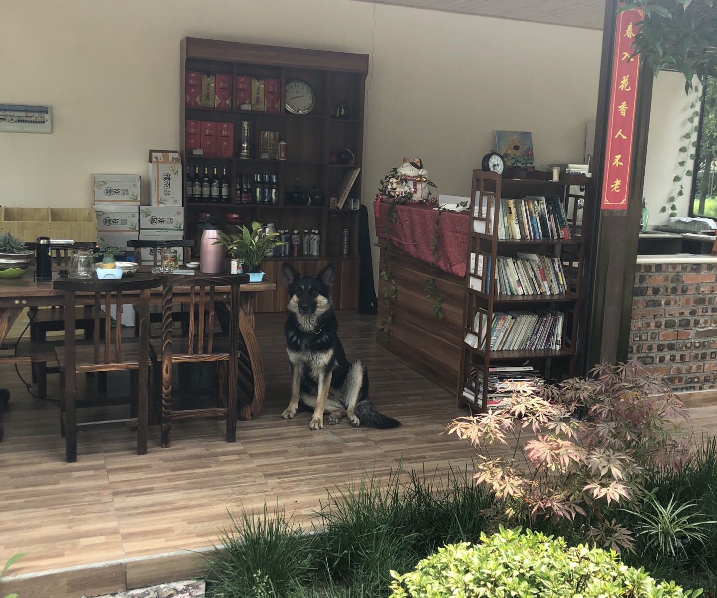 公共区域