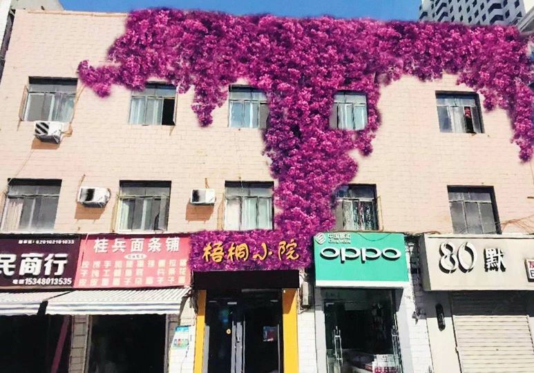 兰州梧桐小院