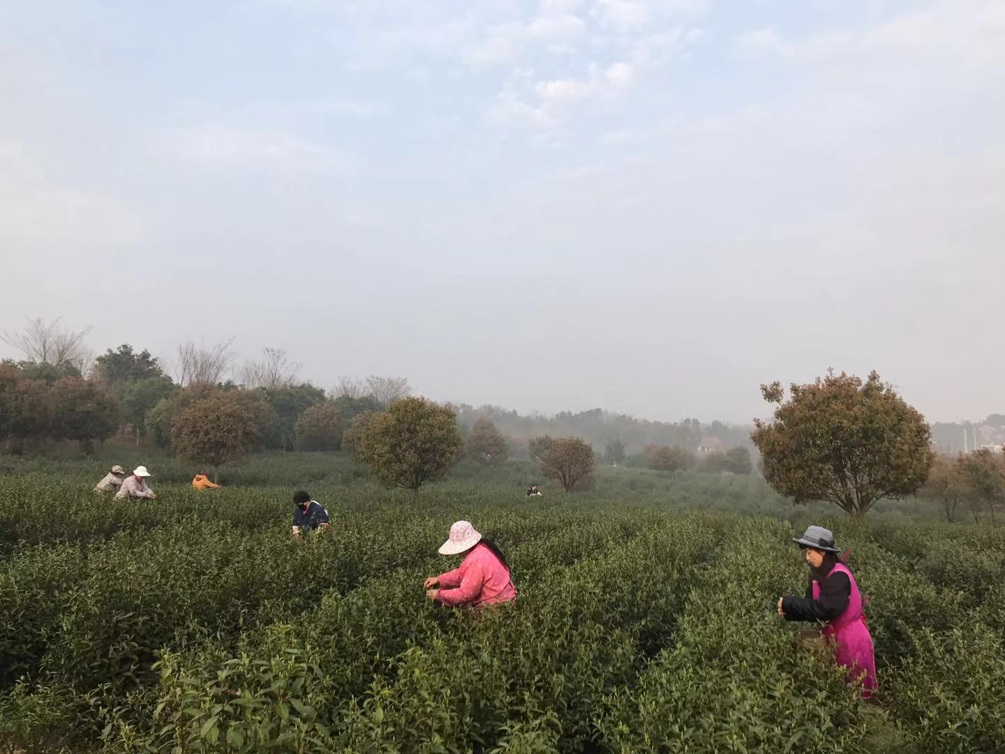 健身娱乐设施