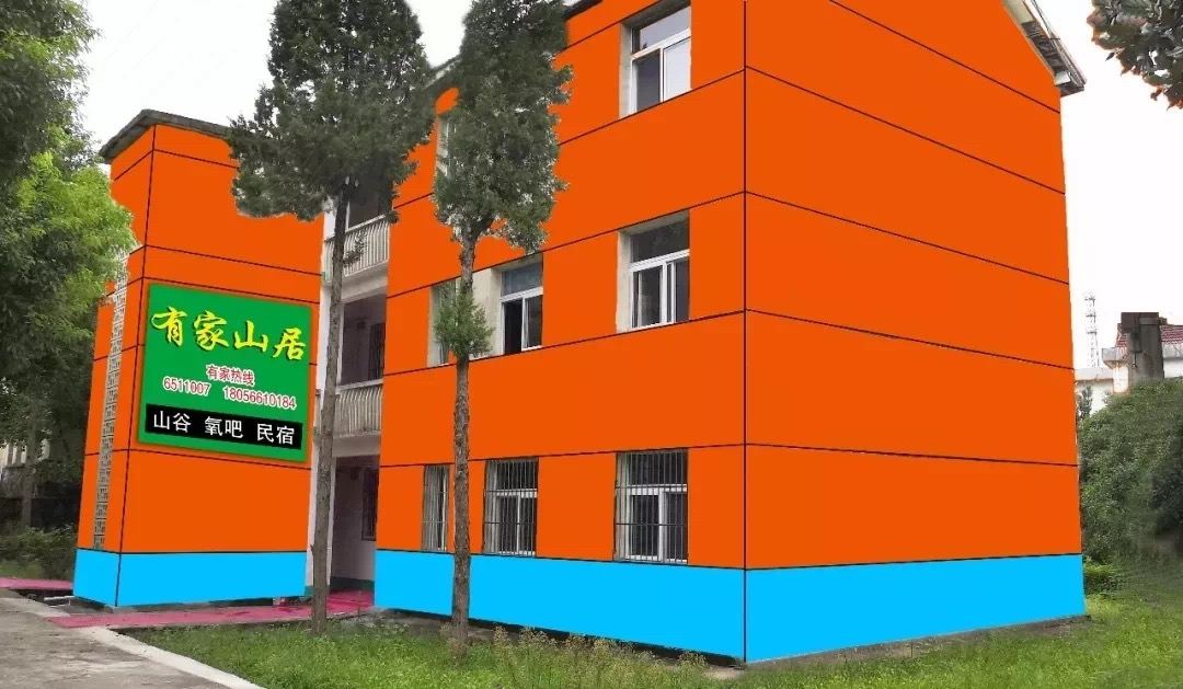 外观