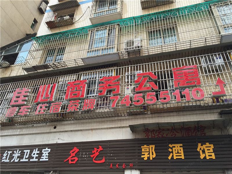 外观
