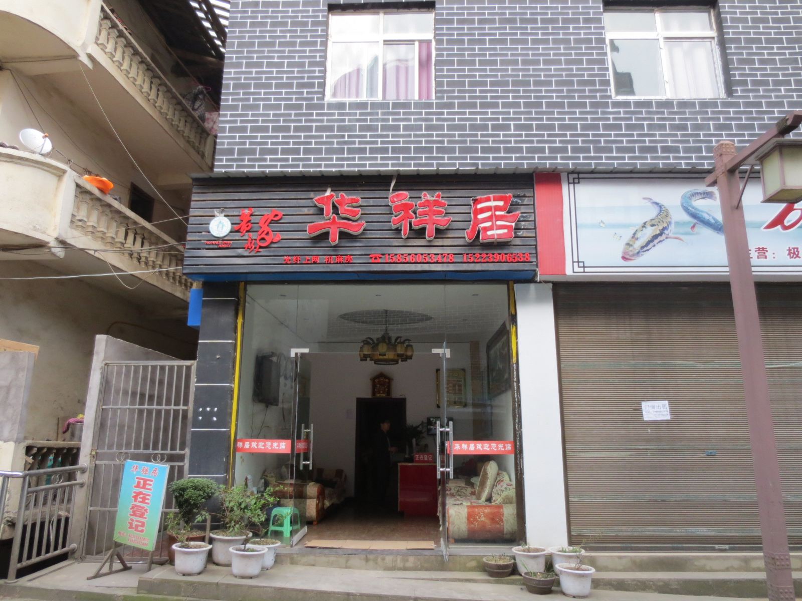 外观