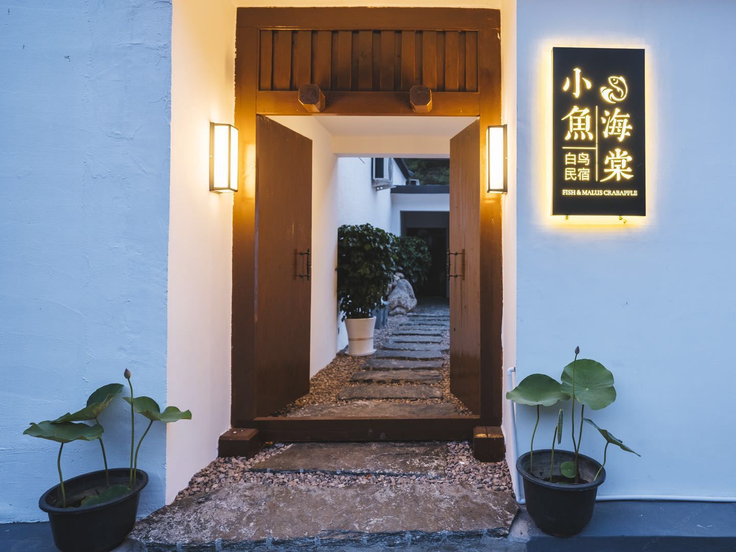 外观