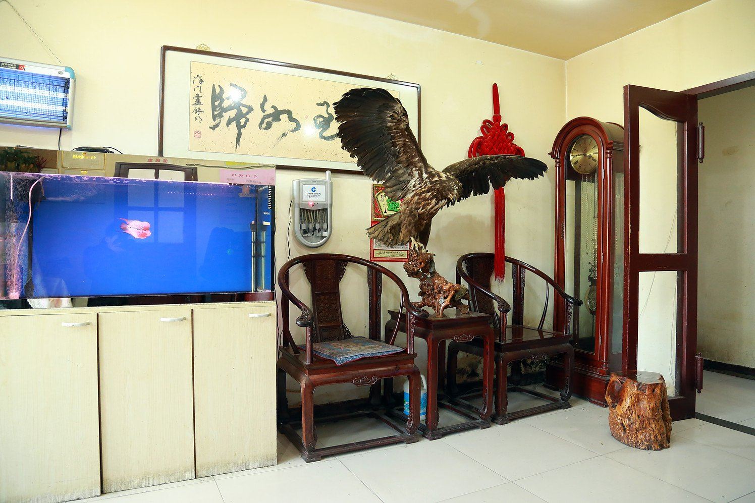 公共区域