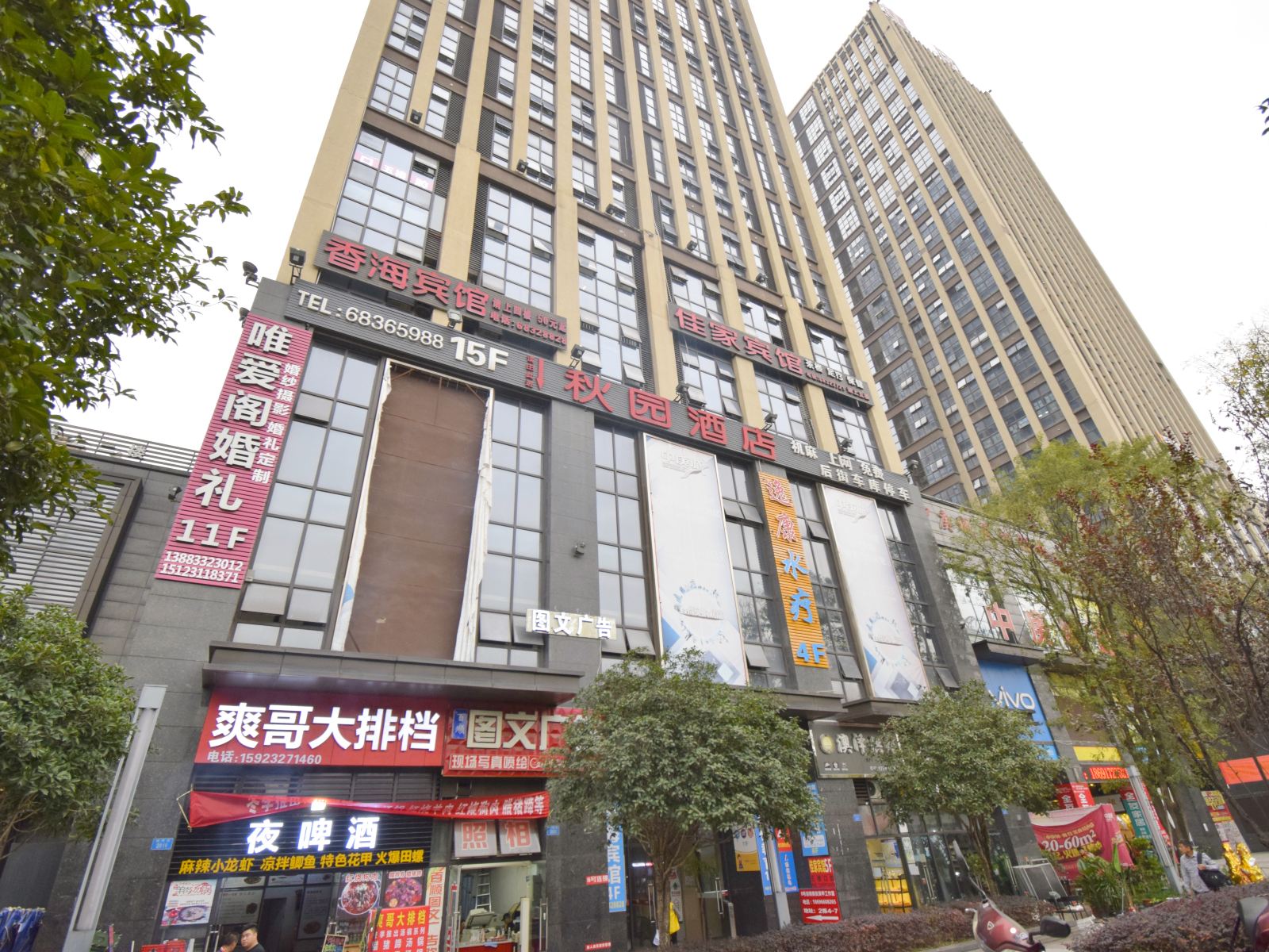 外观