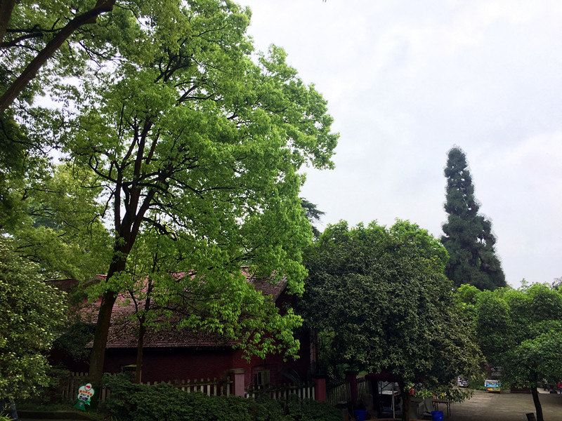重庆樱花宾馆