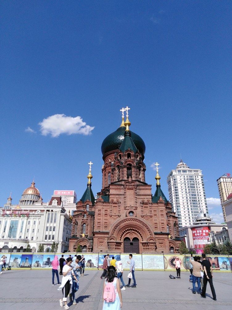 其他