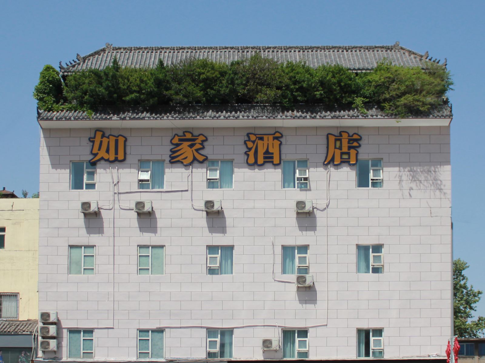 外观