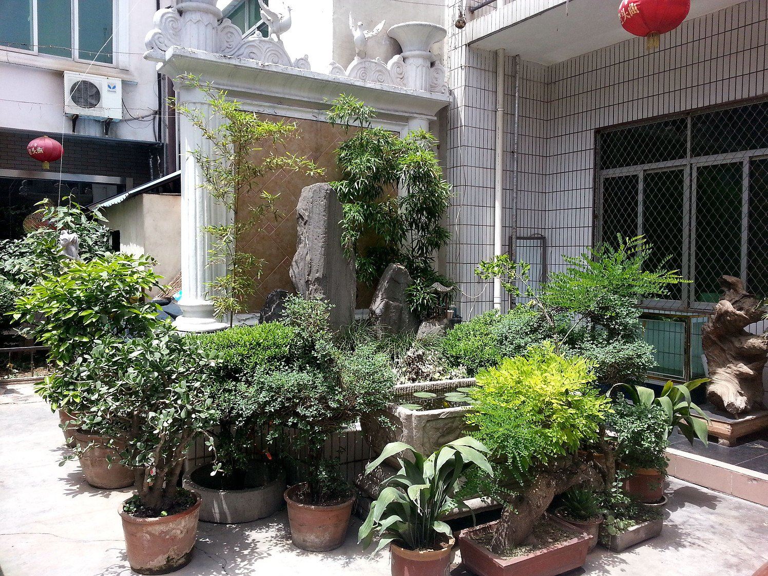 西安小白鸽饭店