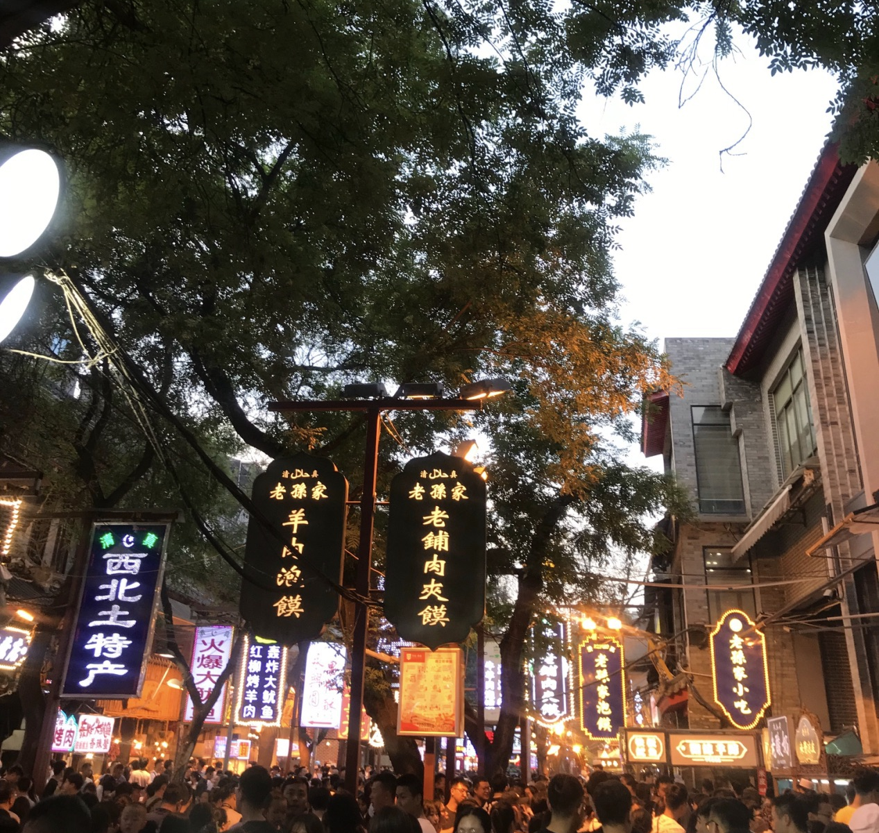 其他