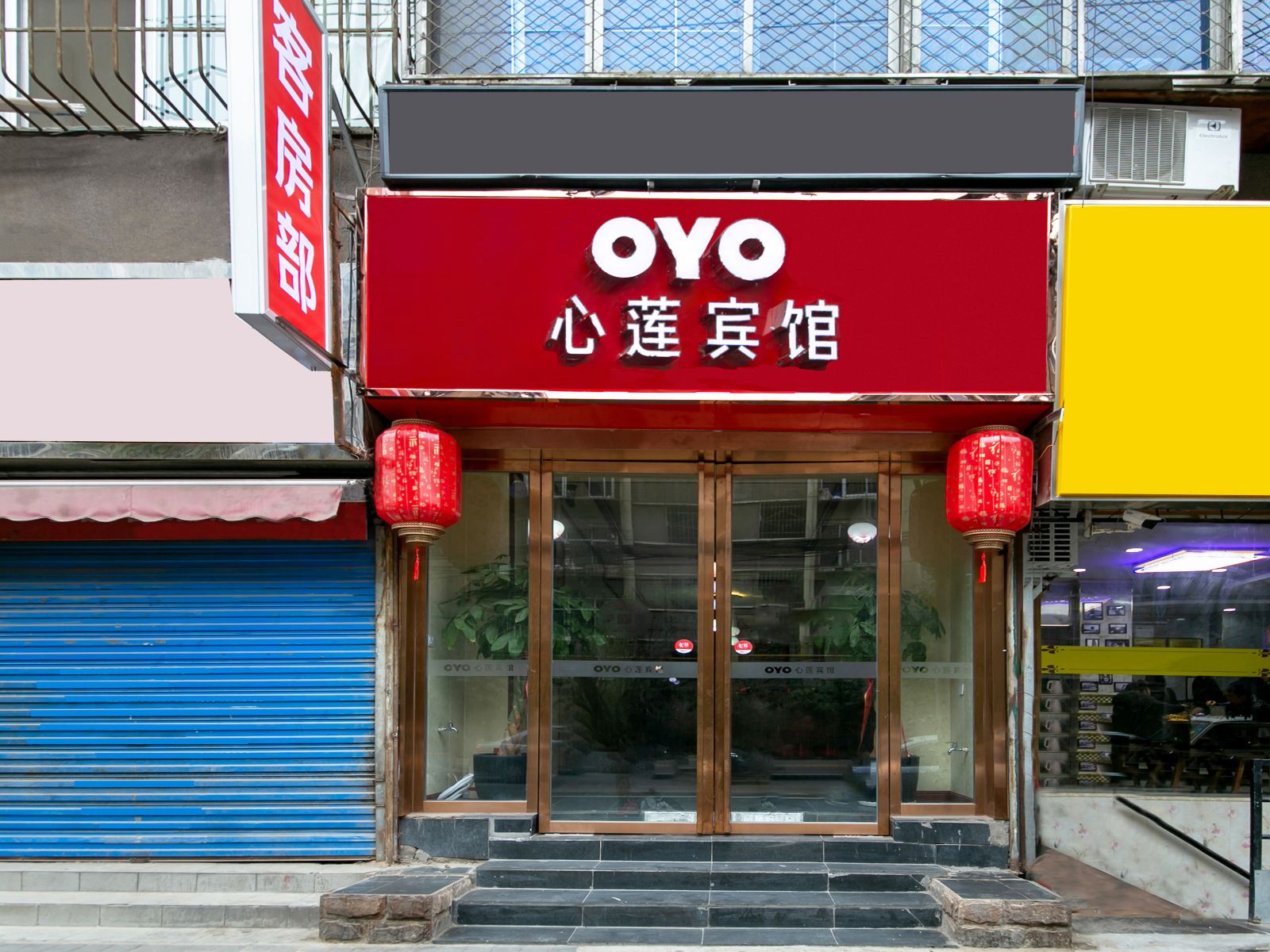 外观