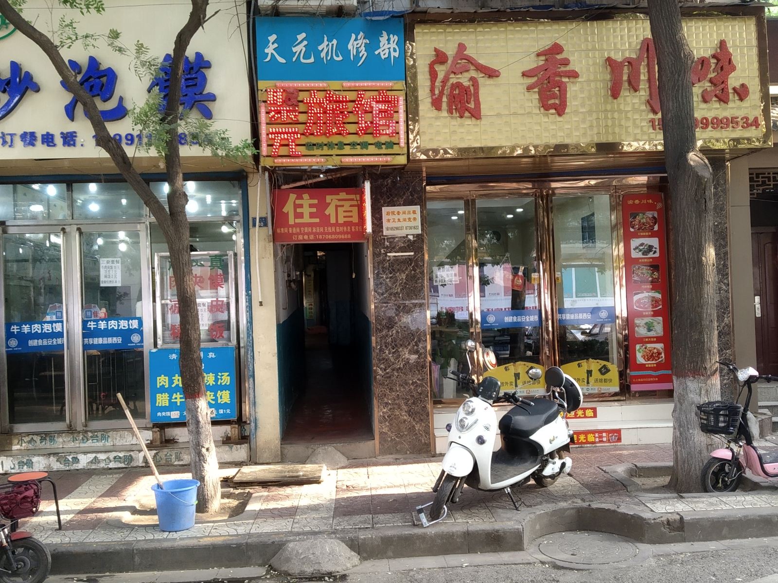 外观