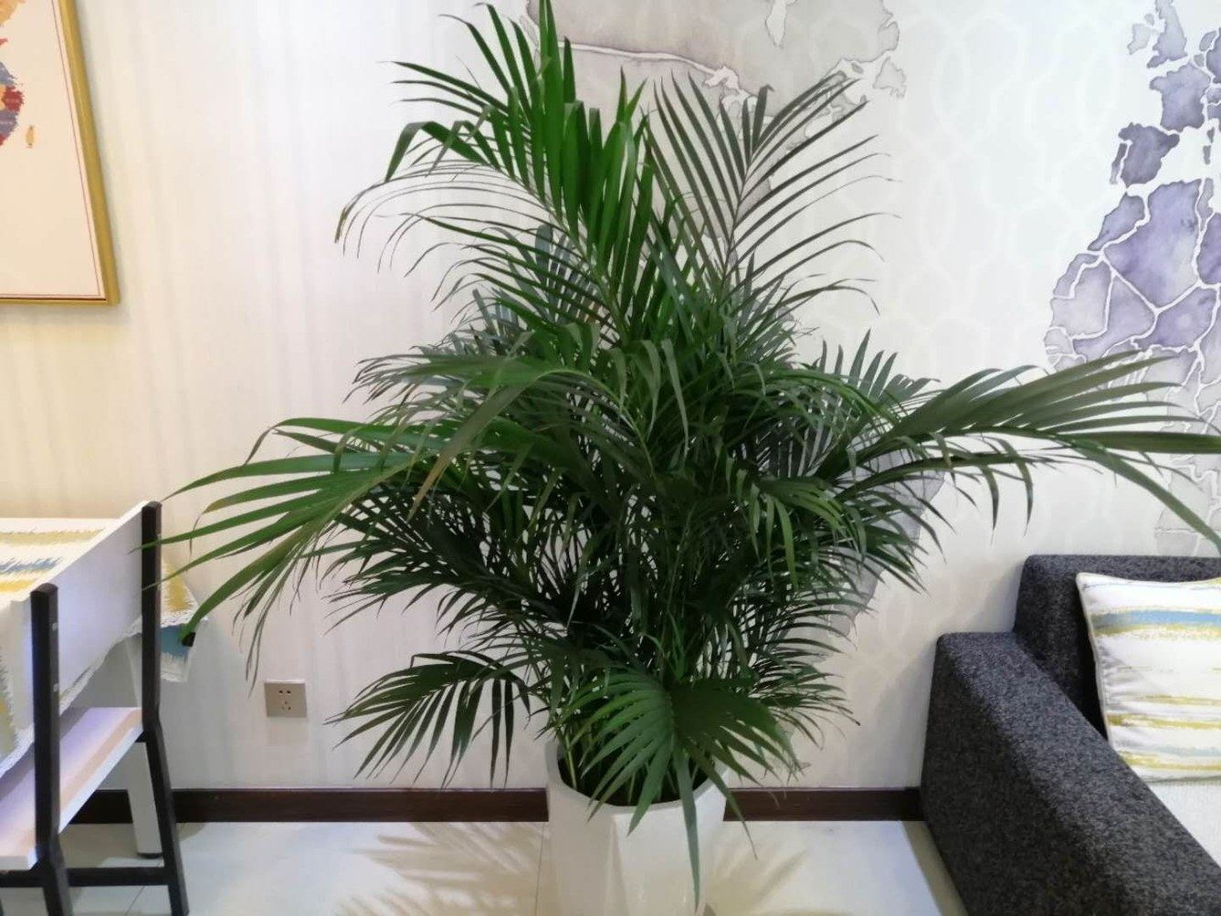 西安大唐小筑(3号店)