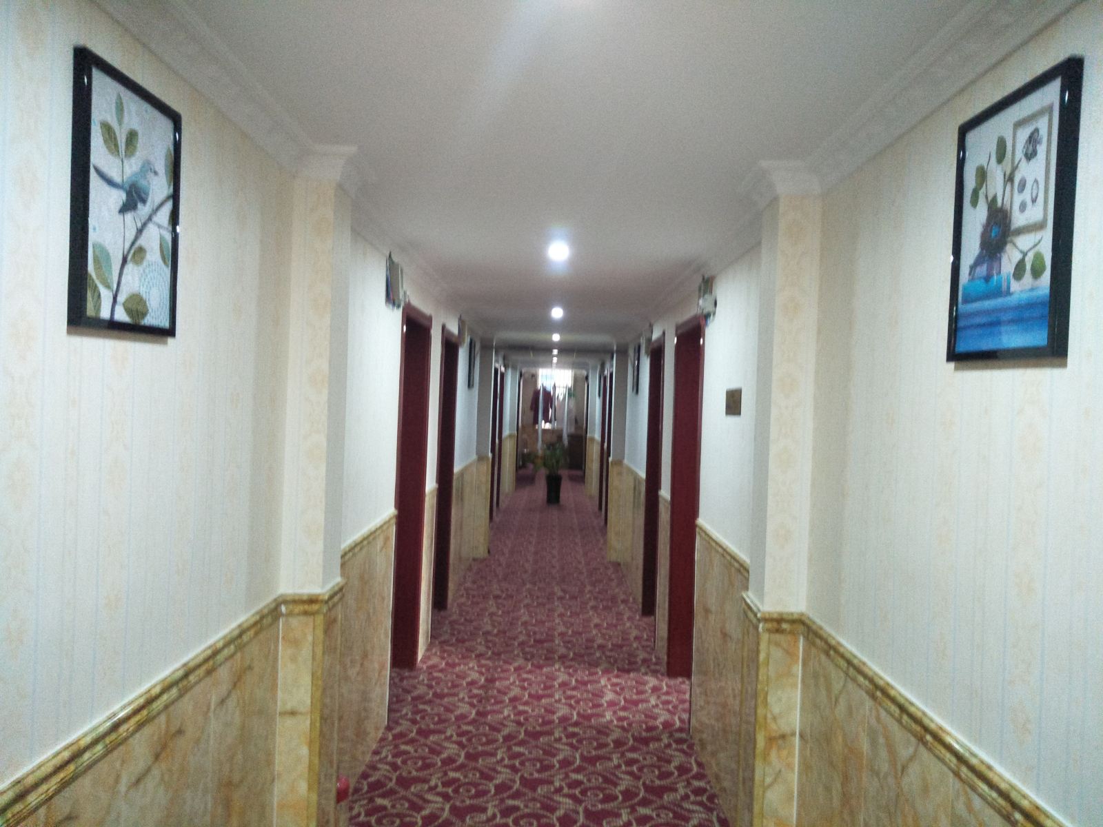 公共区域