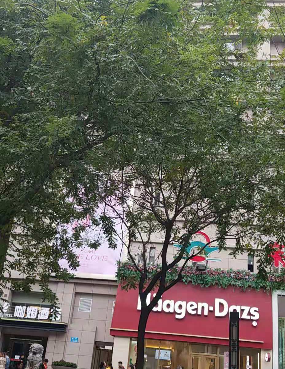 西安君威公寓