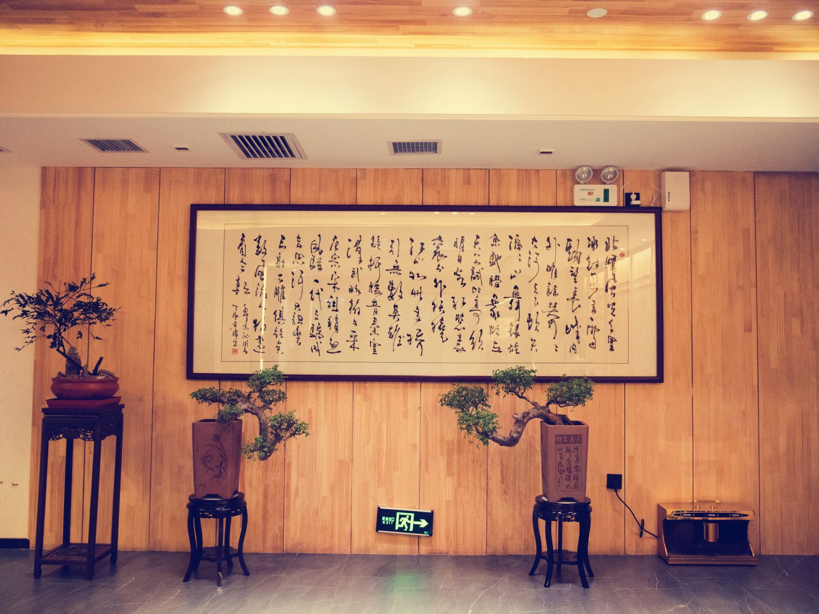 公共区域