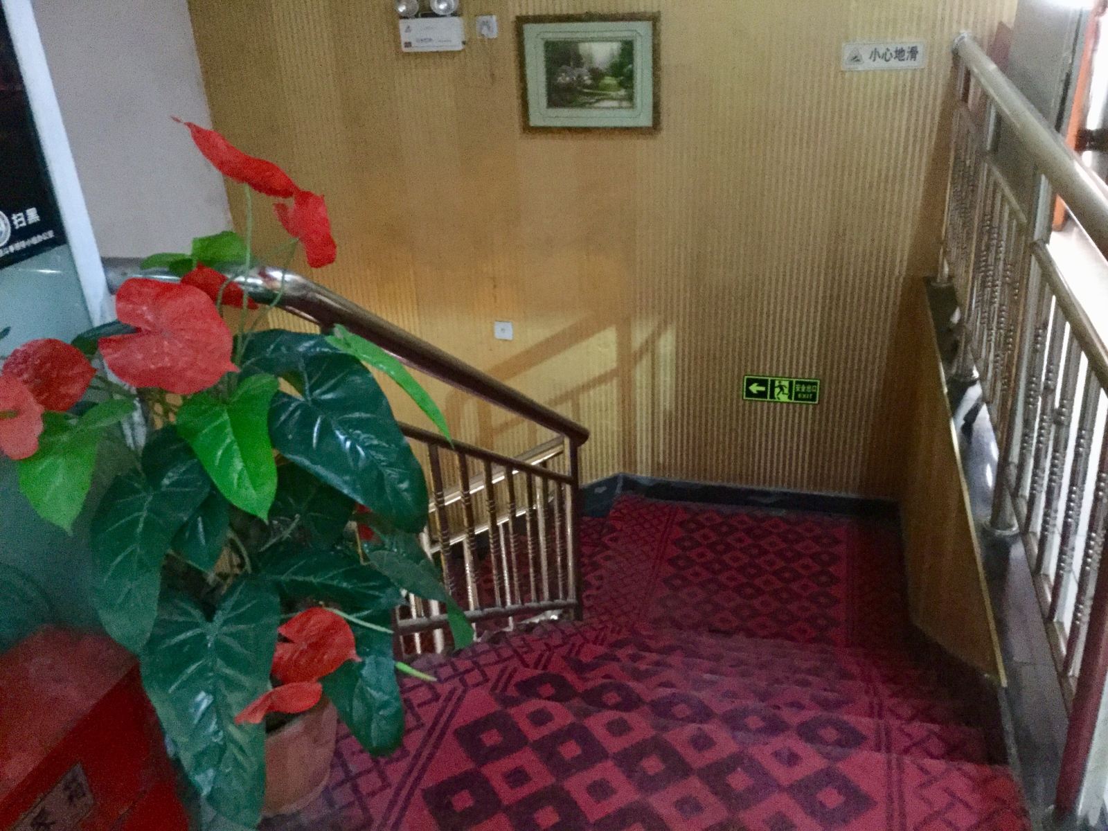 公共区域