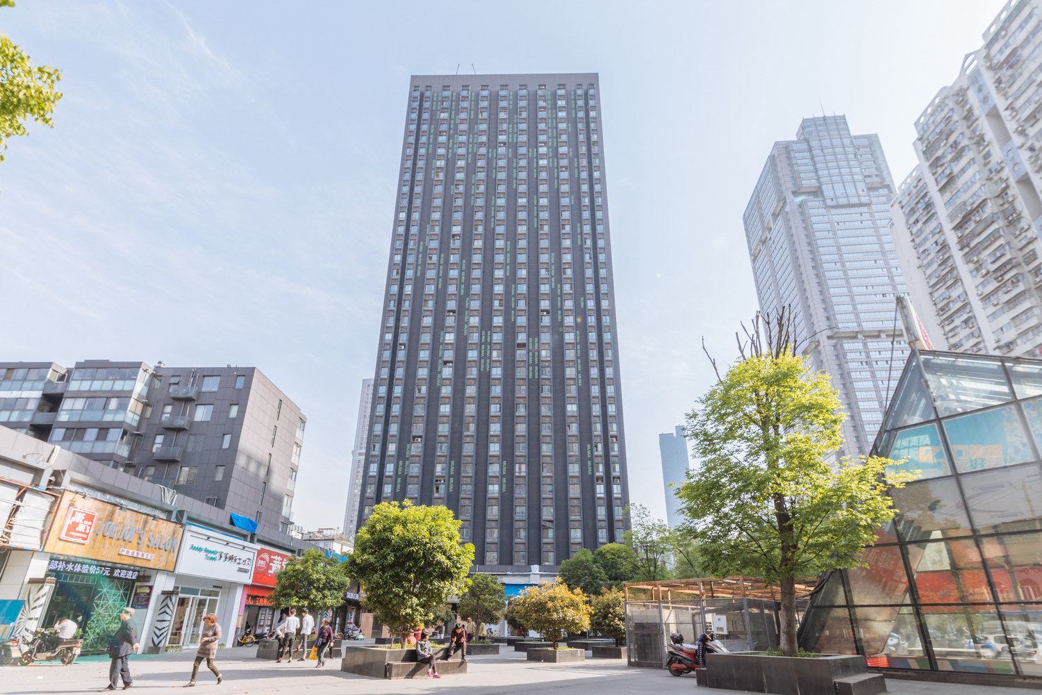 外观