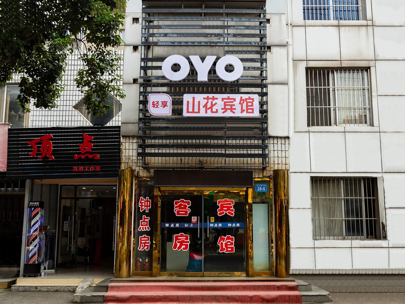 外观