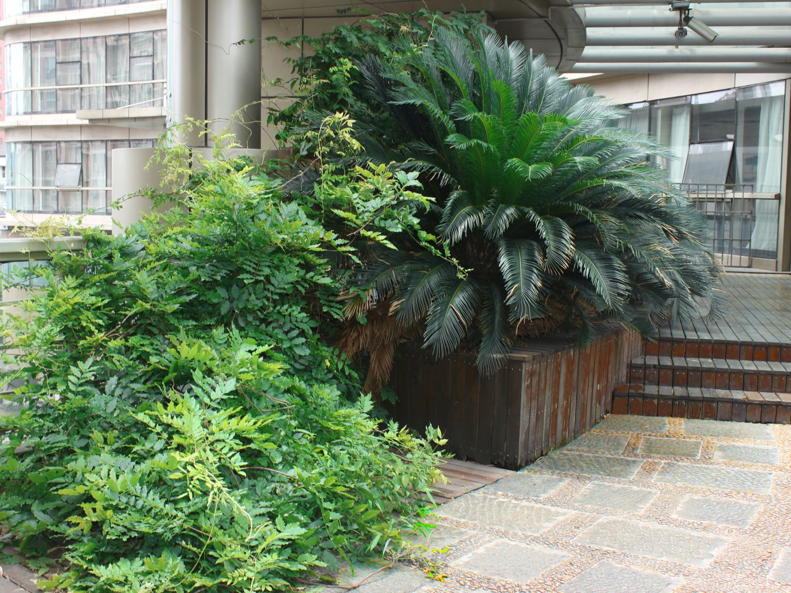 公共区域