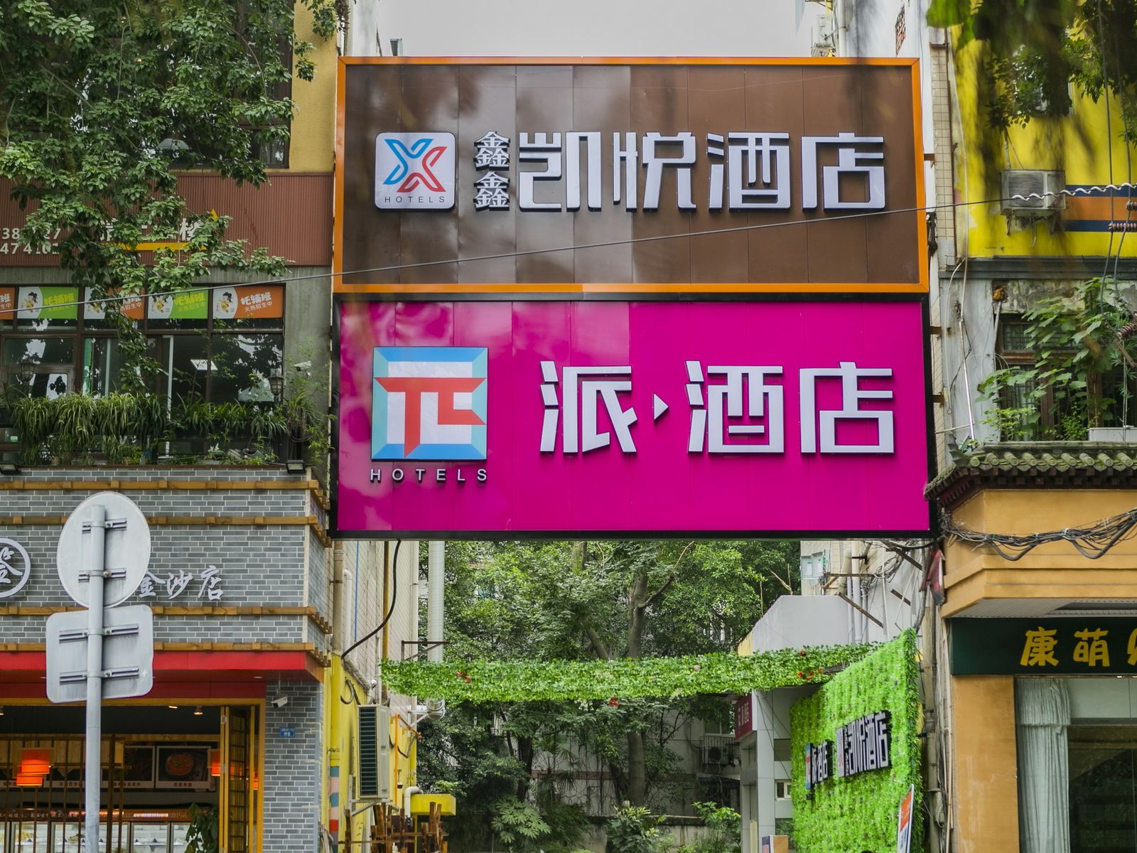 外观
